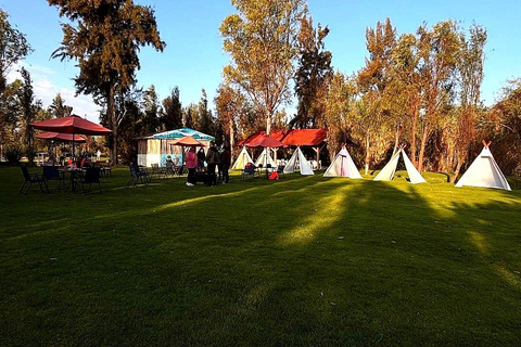Xochimilco: Sunrise Kayaking, Breakfast and Axolotls Xochimilco: Sunrise Kayaking, Breakfast, and Axolotls