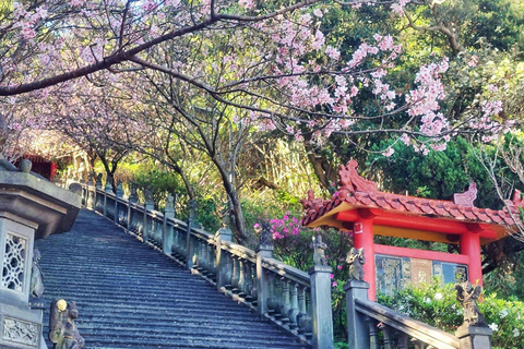 Shore excursion Taipei, plane view, 5-stars buffet & Massage Taipei Hotel pick-up