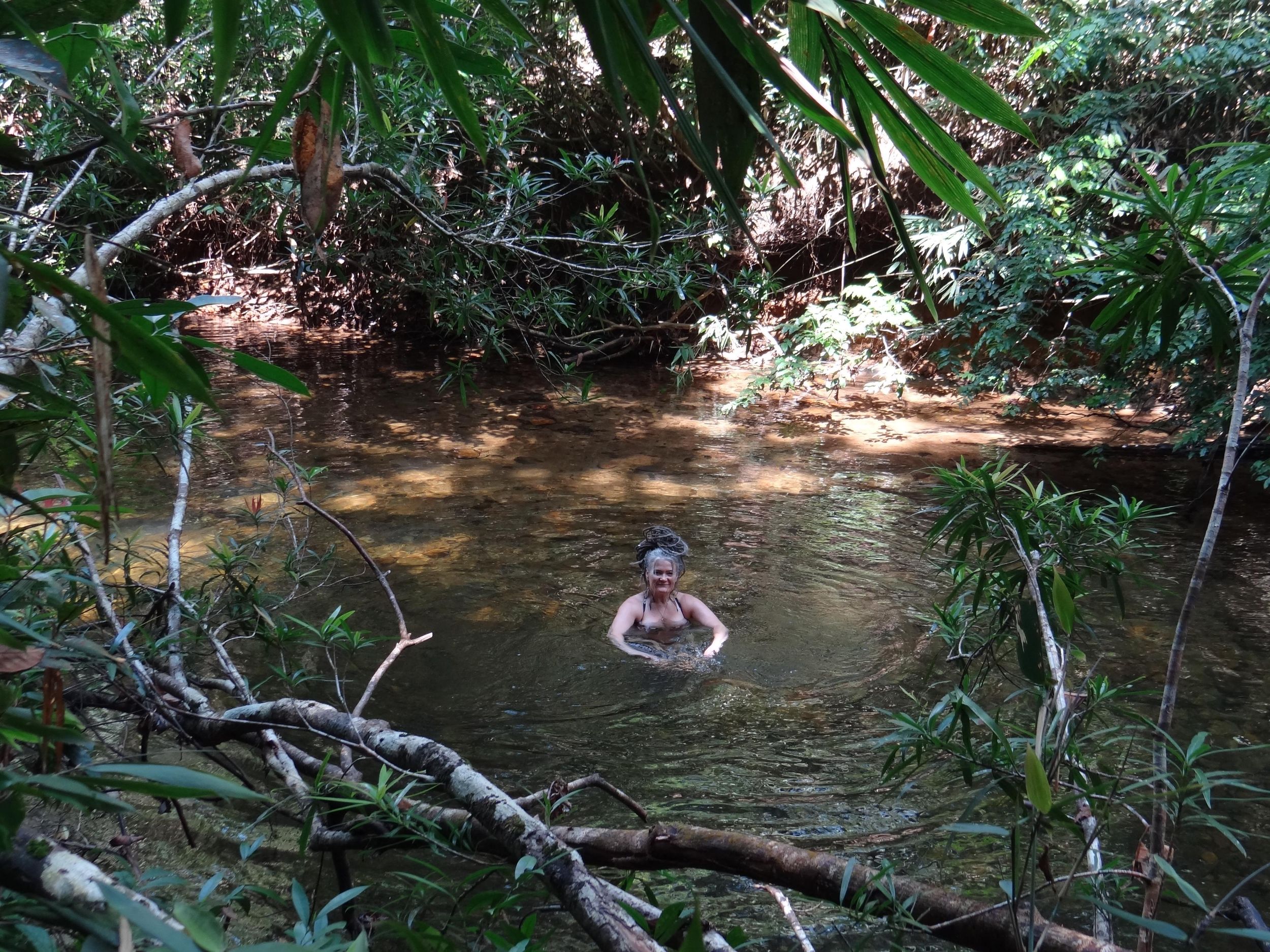 Ab Galle: Kanneliya-Regenwald-Wanderung mit Mittagessen und Schwimmen