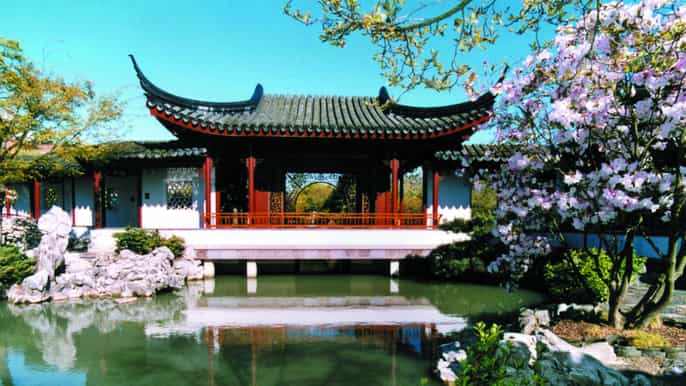 4hour private tour of vancouvers gardens