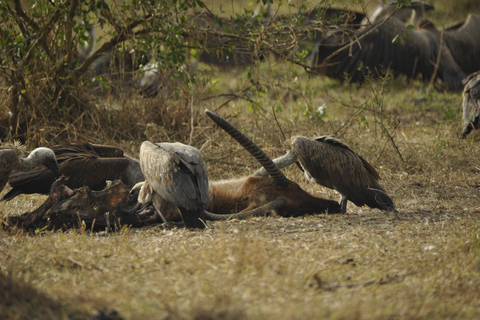 Uganda: 3-Day Lake Mburo National Park Adventure Tour