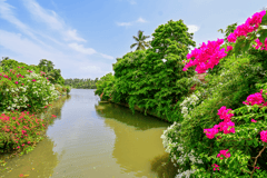 Negombo-Lagune & Hamilton-Kanal: Bootstour bei Sonnenuntergang