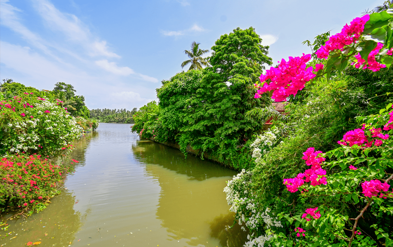 Negombo-Lagune & Hamilton-Kanal: Bootstour bei Sonnenuntergang