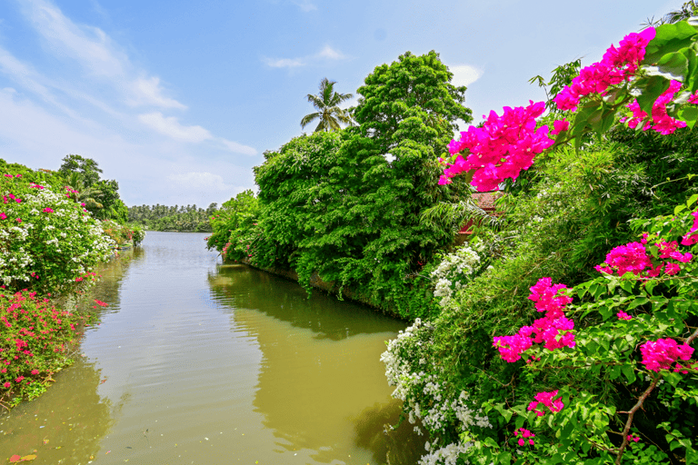 Tour en barco al atardecer por la laguna de Negombo y el canal holandésTour en barco por la laguna de Negombo y el canal holandés al atardecer