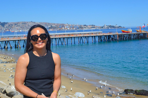 Santiago: Valparaíso Cruise Port Transfer & Vineyard Tour
