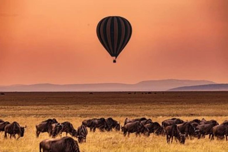 Safari económico de 3 días por Maasai Mara Kenia 2024 - 2025