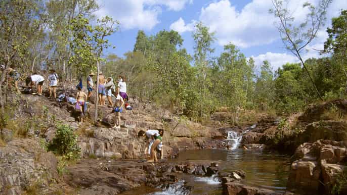 from darwin litchfield national park fullday tour