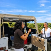 Lisboa: bodega, cata y viñedos en 4x4 (medio día, privado)
