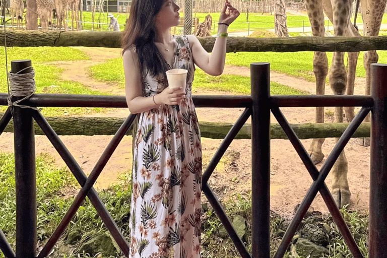 فو كووك: تذكرة دخول منتزه فينبيرل سفاريتذكرة سفاري فينبيرل سفاري