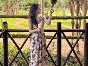 Phu Quoc: Vinpearl Safari Park Entry Ticket