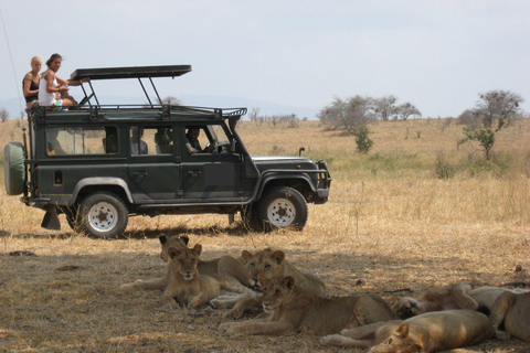 Arusha: Dagstur till Ngorongoro-kratern