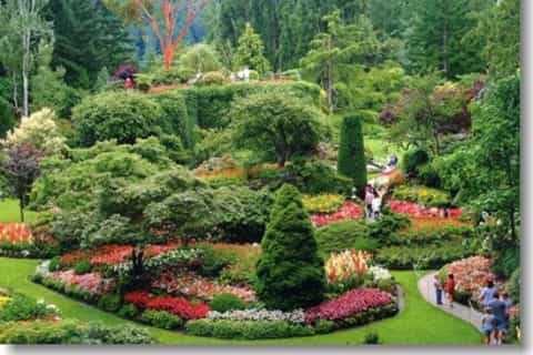 From Vancouver: Butchart Gardens by Seaplane and Speedboat