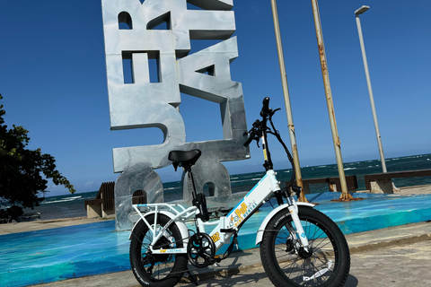 1 hour electric bike rental