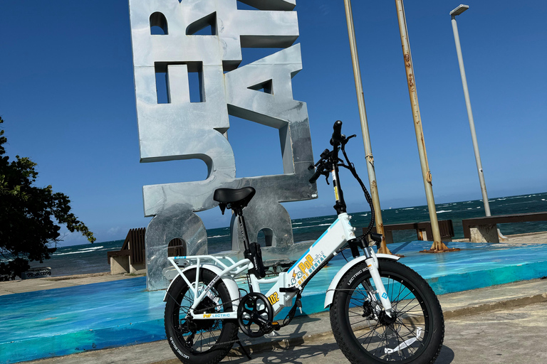 1 hour electric bike rental