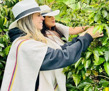 Medellín Coffee Farm Tour with Trolley and Cable Car Ride