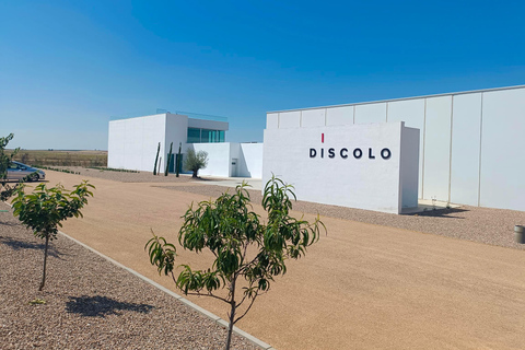 Visit Bodega Boutique Díscolo at 49154 El Pego - Zamora - Spain