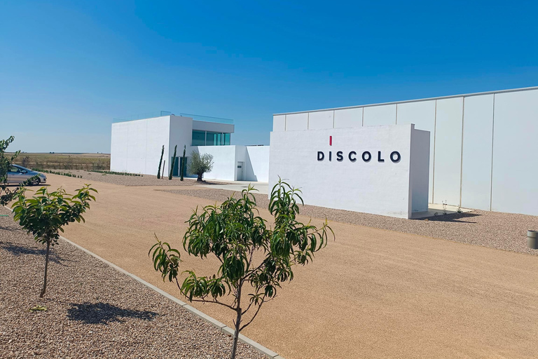 Visit Bodega Boutique Díscolo at 49154 El Pego - Zamora - Spain