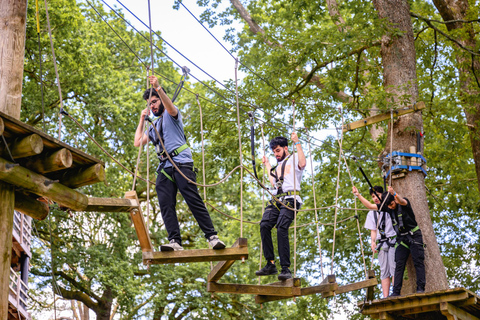 Windermere: Treetop Course (Full Trek)