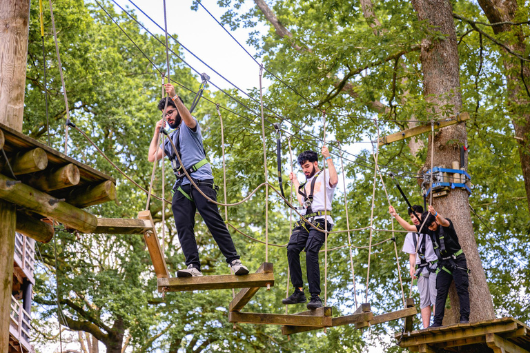 Windermere: Treetop Course (Full Trek)
