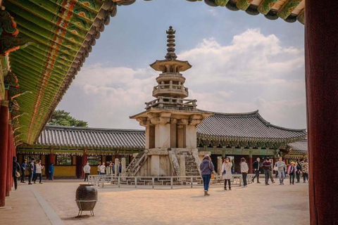 From Busan: Gyeongju Custom Private Day Tour with Pickup