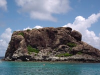 Песочный доллар на полдень круиз St. Martin - Housity