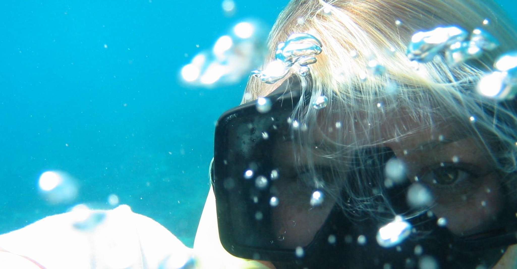 Sand Dollar Half Day Snorkel Cruise St. Martin - Housity