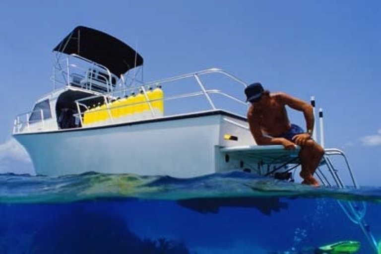 Odkryj nurkowanie w St MaartenOpcja standardowa