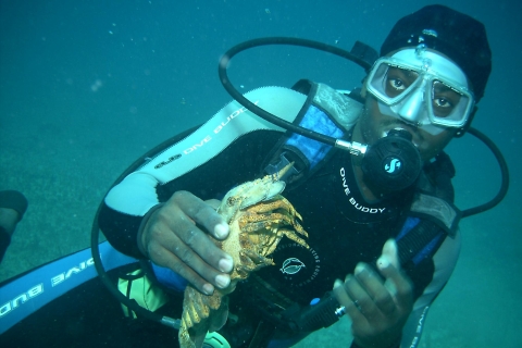 Discover Scuba Diving op St. MaartenStandaard optie
