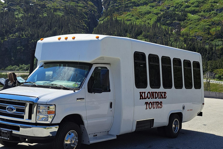 From Skagway: White Pass Summit Guided Bus Tour