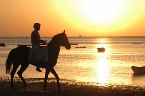 Ixtapa Zihuatanejo paardrijden op het strand