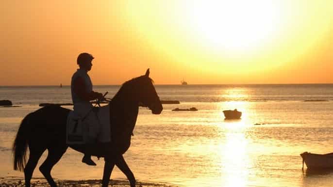 ixtapa zihuatanejo horseback riding on the beach