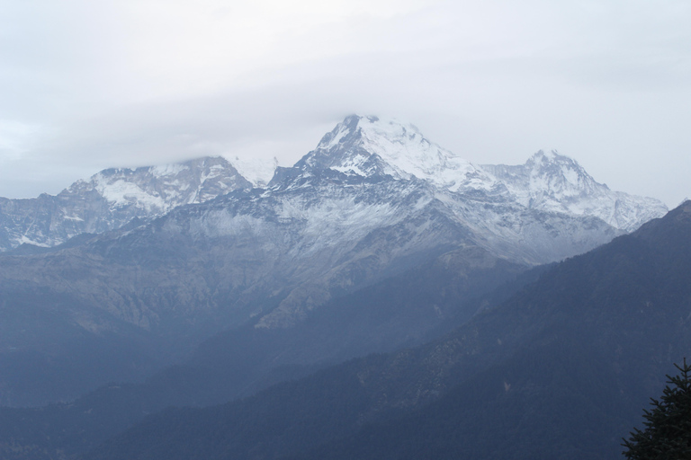 From Pokhara: 2-Day Short Poon Hill Trek