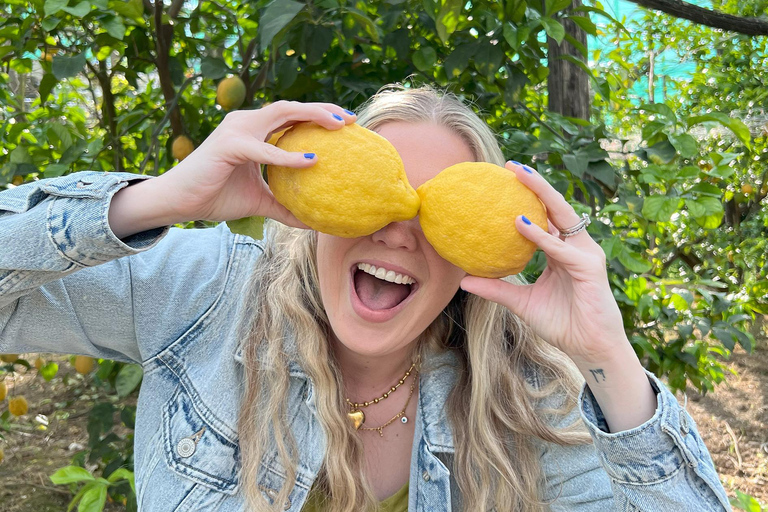 Sorrento: Lemon Picking & Tasting Tour Lemon Picking Experience at Giovanni's Farm