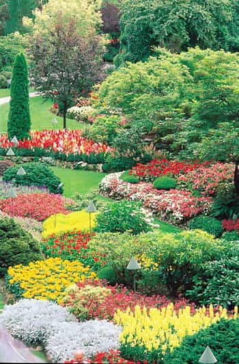 Victoria and Butchart Gardens: Private Day Tour | GetYourGuide