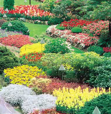 victoria and butchart gardens private day tour