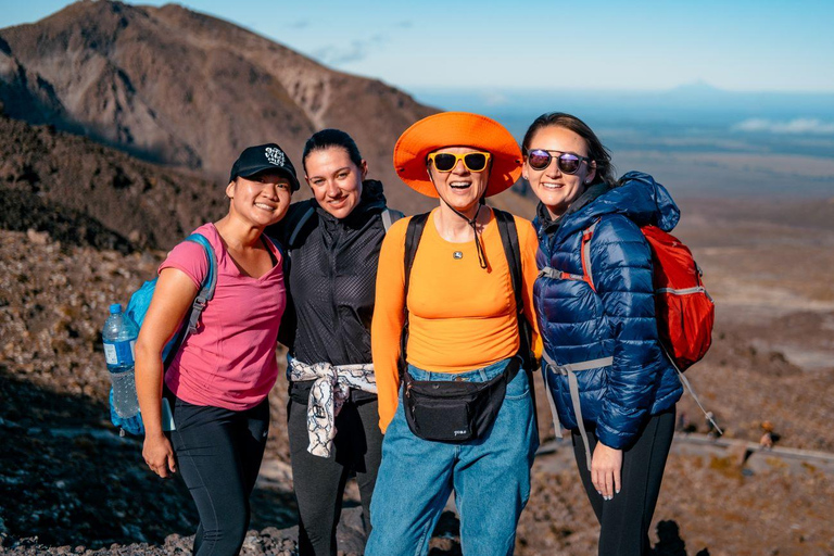 فيوردلاند وميلفورد ساوند: مغامرة المشي لمسافة 4 أيامFiordland &amp; Milford Sound: 4-Day Hiking Adventure