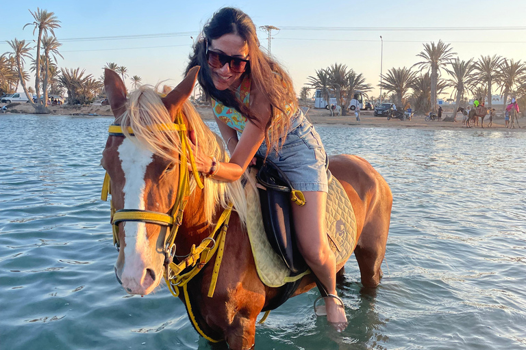 Djerba: 1,5-stündiger Ausritt an den Stränden der Insel und durch die Lagune