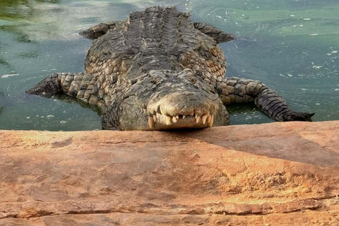 Djerba Explore: Crocodile Park & Lalla Hadria Museum Tour