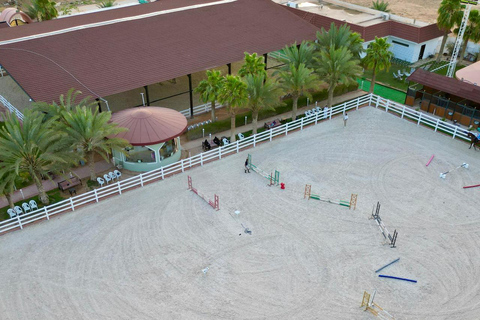 RIYADH : Horse Riding Experience