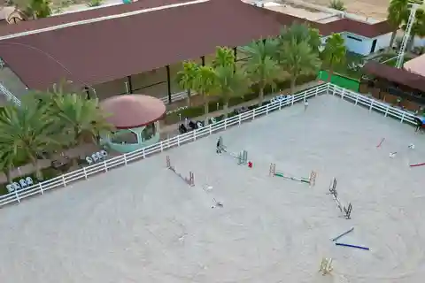 Riyadh: Erlebnis Reiten auf einem arabischen Pferd