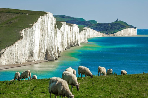 London: Seven Sisters Cliffs Private Day Trip