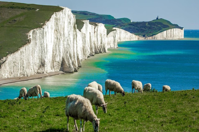 London: Seven Sisters Cliffs Private Day Trip