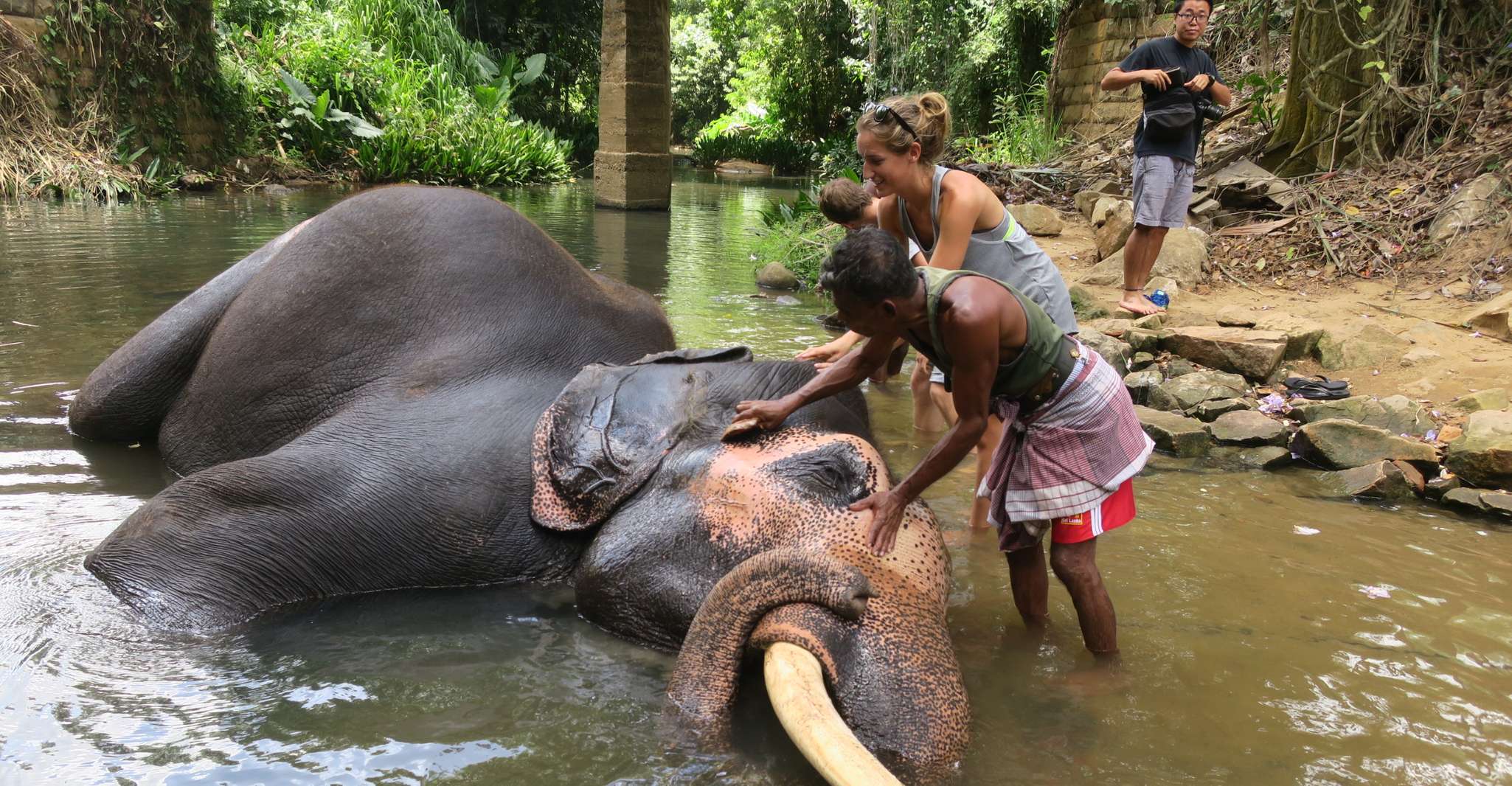 Kandy'den Pinnawala Turuna Tuk Tuk Pinnawala Sri Lanka - Hizvo