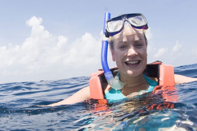 Cancun : baignade avec les requins-baleinesOption standard