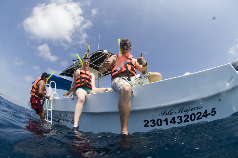 Cancún: Swim with Whale Sharks Standard Option