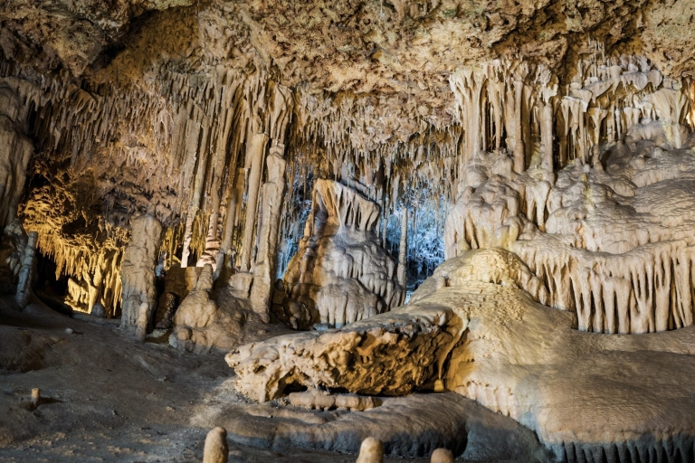 Alcudia : Excursion d'une demi-journée à Dinosaurland et aux grottes de Hams