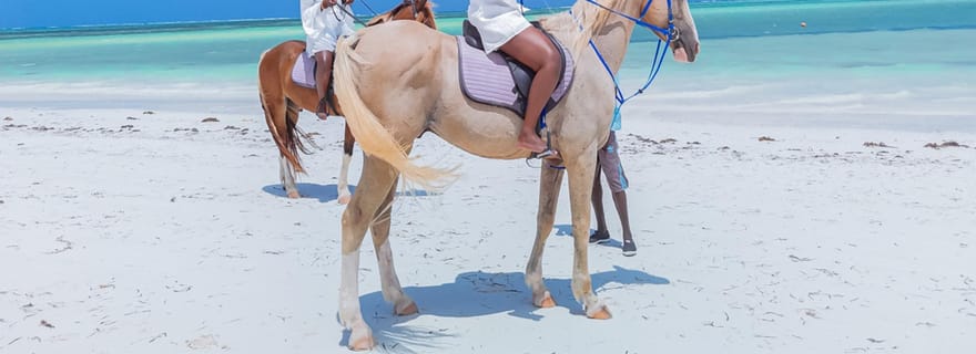 Zanzibar : équitation et kayak avec vidéo et photos