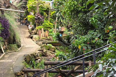 Medellin: Comuna 3 Constellations Graffity tour