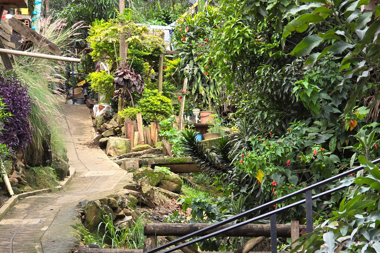 Medellin: Comuna 3 Constellations Graffity tour