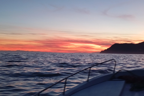 Vernazza: morning tour-afternoon-sunset aperitiv cruise tour 2-Hour Tour